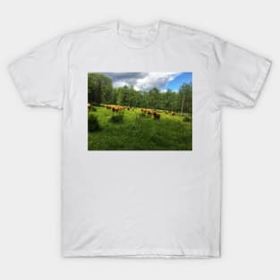 Scottish Highland Cattle Cows 2030 T-Shirt